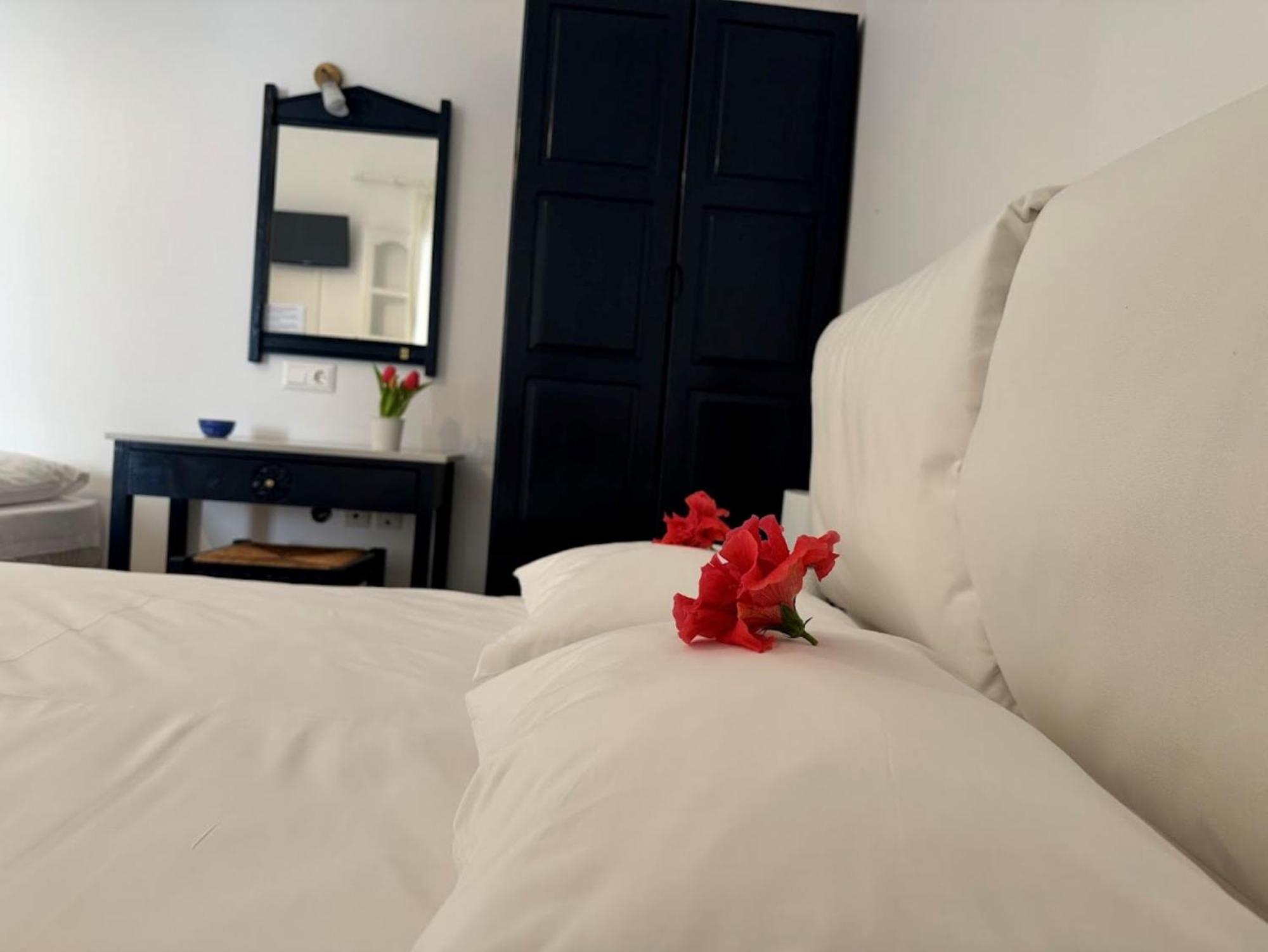 Elisso'S Philoxenia Aparthotel Агиос Прокопиос Екстериор снимка
